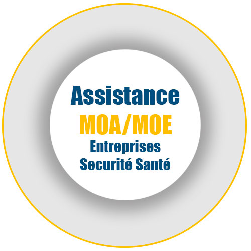 Assistance MOA/MOE Entreprises Securité Santé